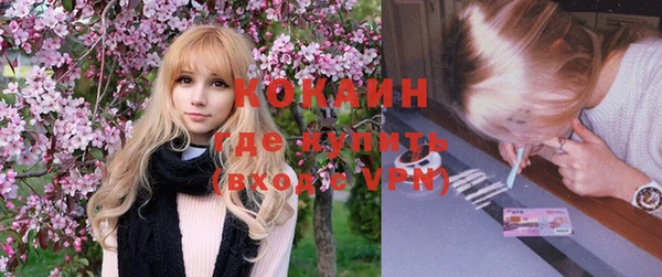 круглые Алексеевка