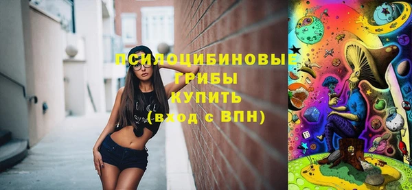 круглые Алексеевка
