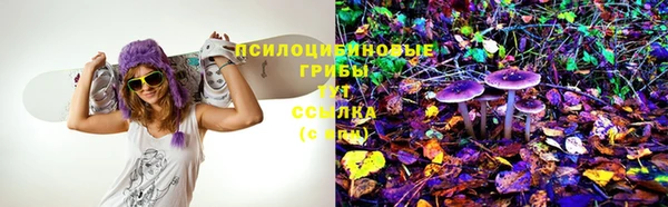 круглые Алексеевка