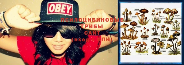 круглые Алексеевка