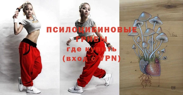 круглые Алексеевка