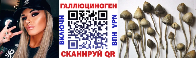 купить наркотик  мега зеркало  Псилоцибиновые грибы Cubensis  Игра 