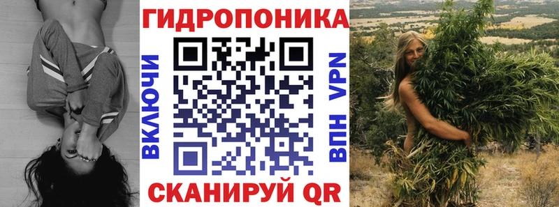 OMG вход  сколько стоит  Игра  Каннабис LSD WEED 